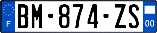 BM-874-ZS