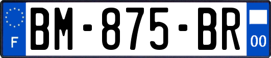 BM-875-BR