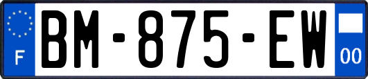 BM-875-EW