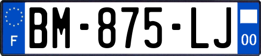 BM-875-LJ