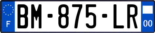 BM-875-LR