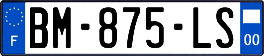 BM-875-LS
