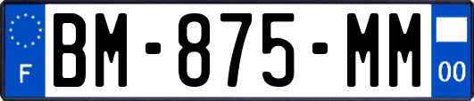 BM-875-MM