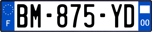 BM-875-YD