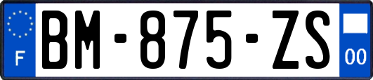 BM-875-ZS