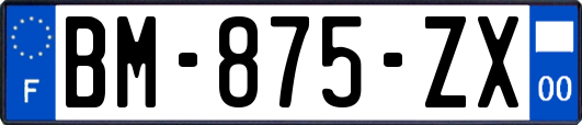 BM-875-ZX