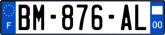 BM-876-AL