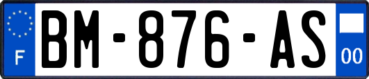 BM-876-AS