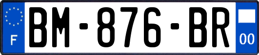 BM-876-BR