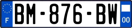 BM-876-BW