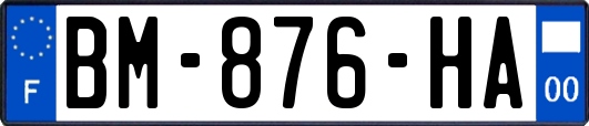 BM-876-HA