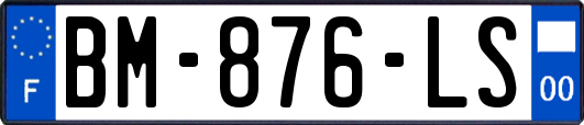 BM-876-LS