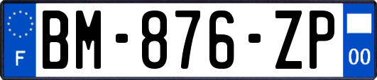 BM-876-ZP