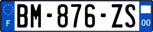 BM-876-ZS