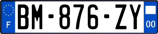 BM-876-ZY