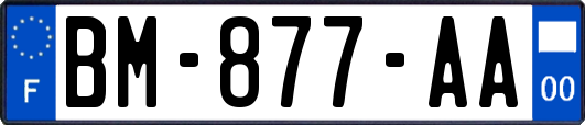 BM-877-AA