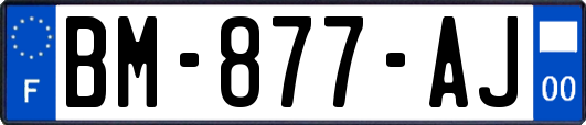 BM-877-AJ