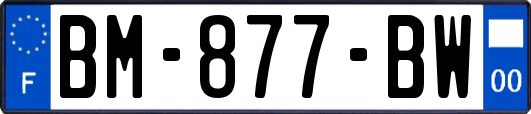 BM-877-BW