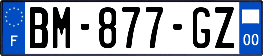 BM-877-GZ