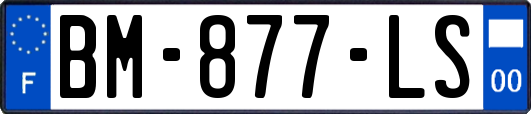BM-877-LS