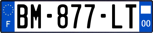BM-877-LT