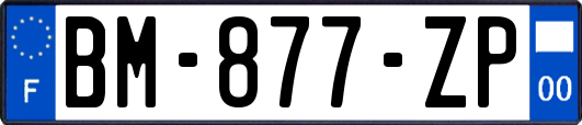 BM-877-ZP