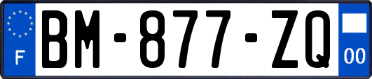 BM-877-ZQ