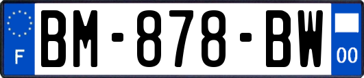 BM-878-BW