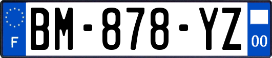 BM-878-YZ