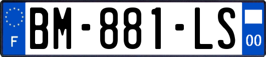 BM-881-LS