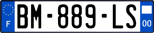 BM-889-LS