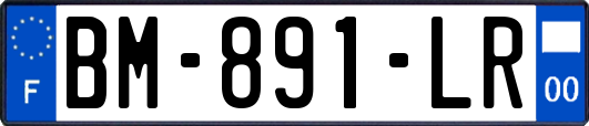 BM-891-LR