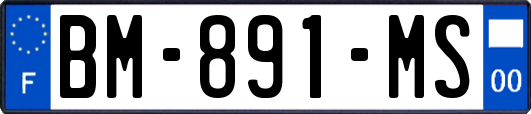 BM-891-MS