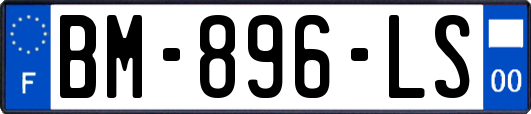 BM-896-LS