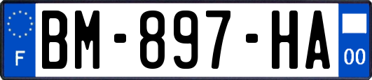 BM-897-HA