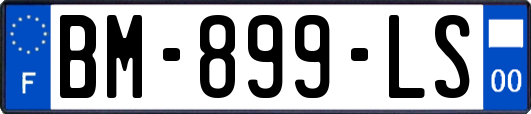 BM-899-LS