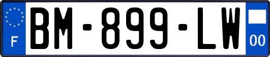 BM-899-LW