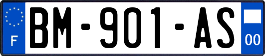 BM-901-AS