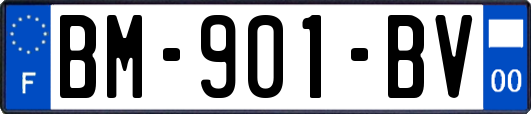 BM-901-BV