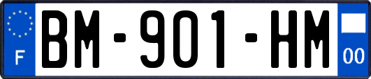 BM-901-HM