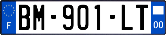 BM-901-LT