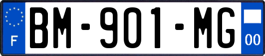 BM-901-MG