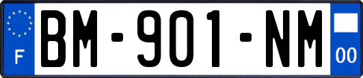 BM-901-NM