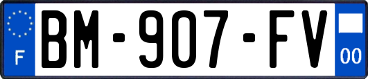 BM-907-FV