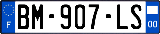BM-907-LS