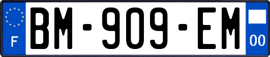 BM-909-EM