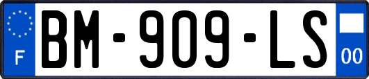 BM-909-LS