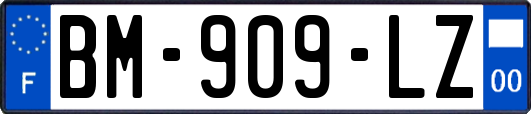 BM-909-LZ