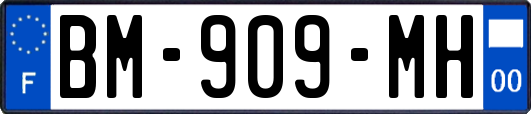 BM-909-MH