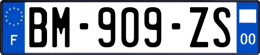 BM-909-ZS